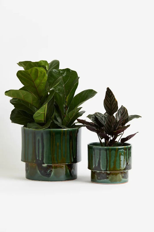 "Terracotta plant pot - green"